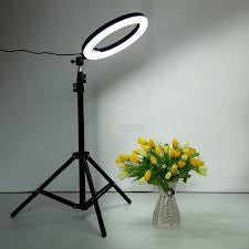 Tripod & Lights