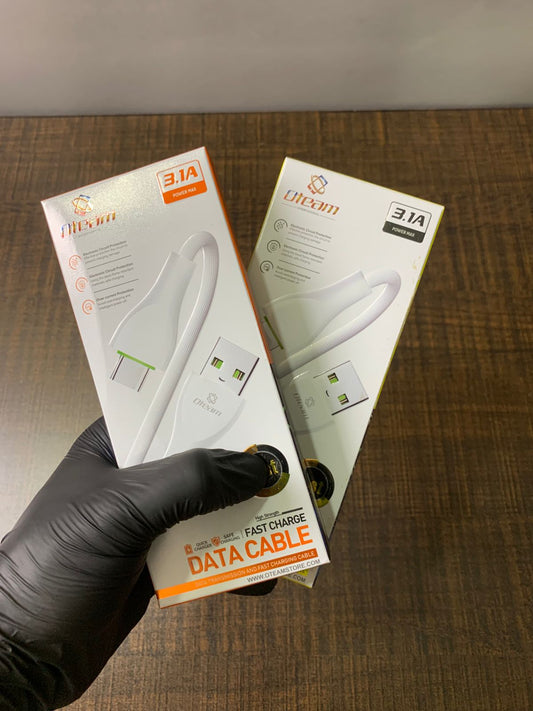 2 Charging Cables (C-TYPE)+(Lightning-Cable)